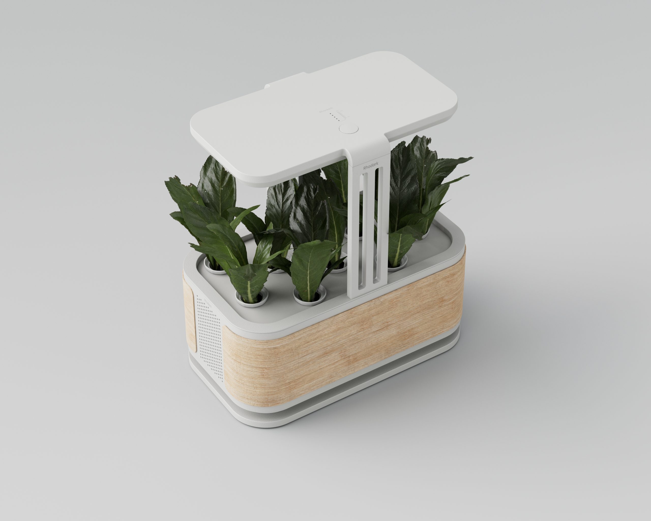 Smart Garden- Beyaz Bohem