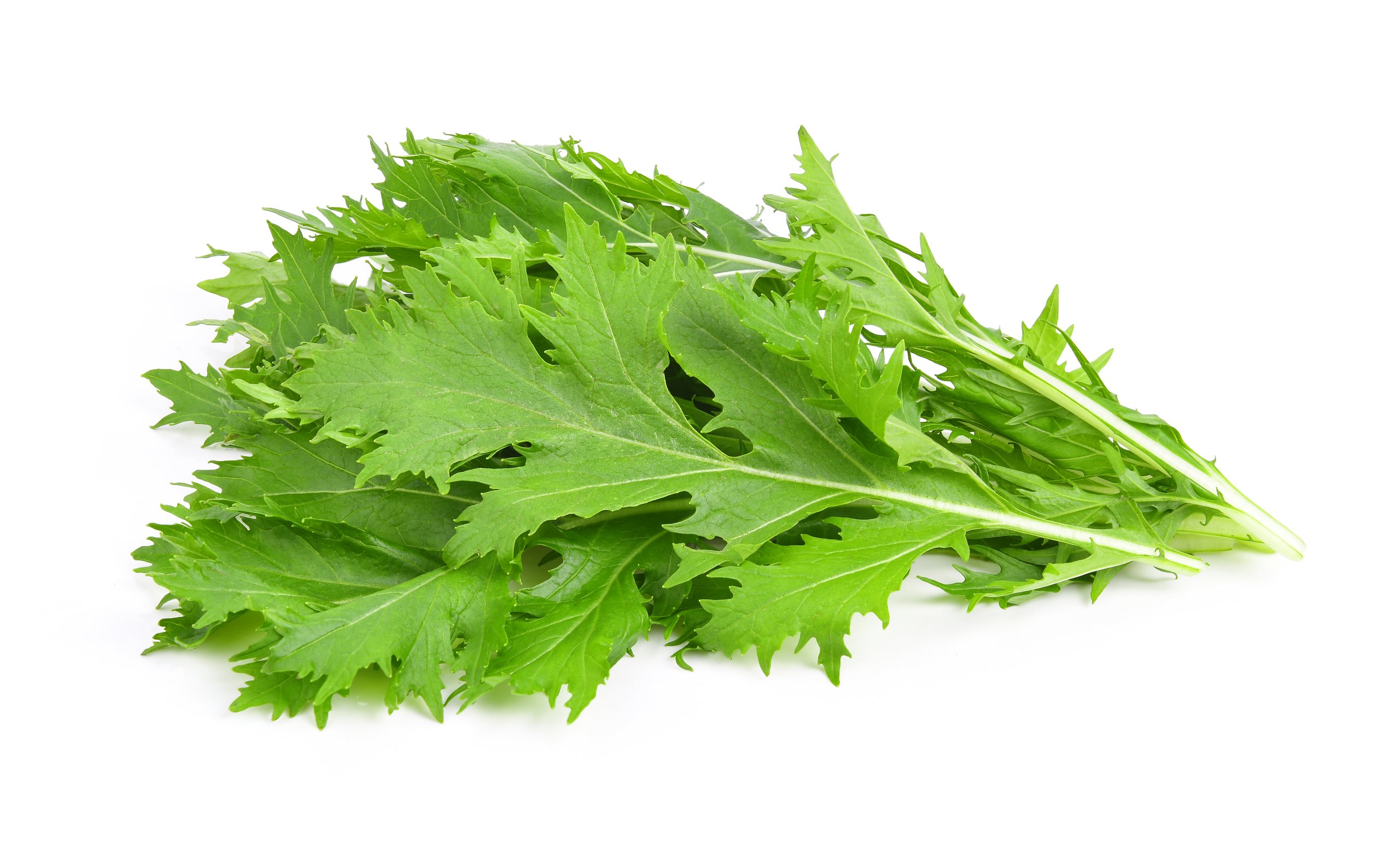 Arugula