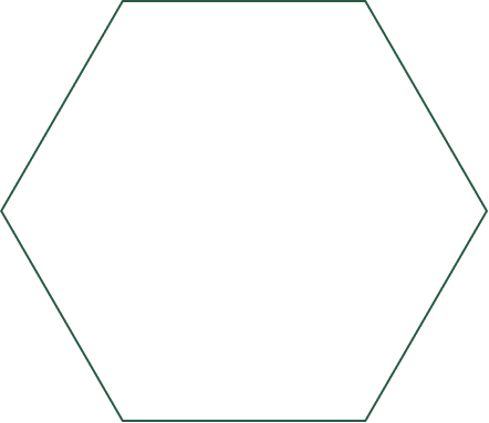 Inner Polygon
