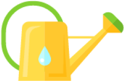 Plant Asset