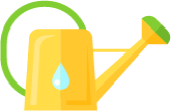 Plant Asset