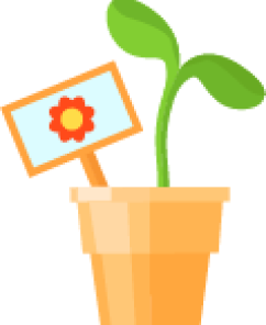 Pruning Asset