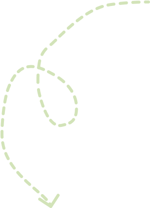 Vector 1