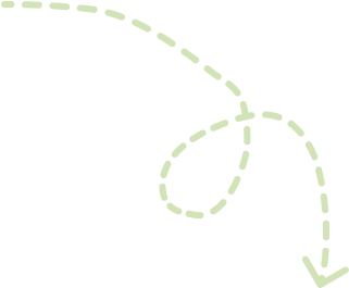 Vector 4